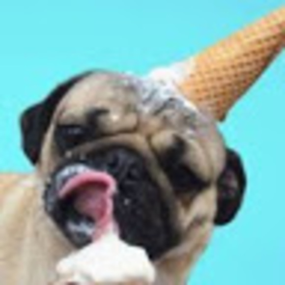 Meet your Posher, Tara - Picture 1 of 1